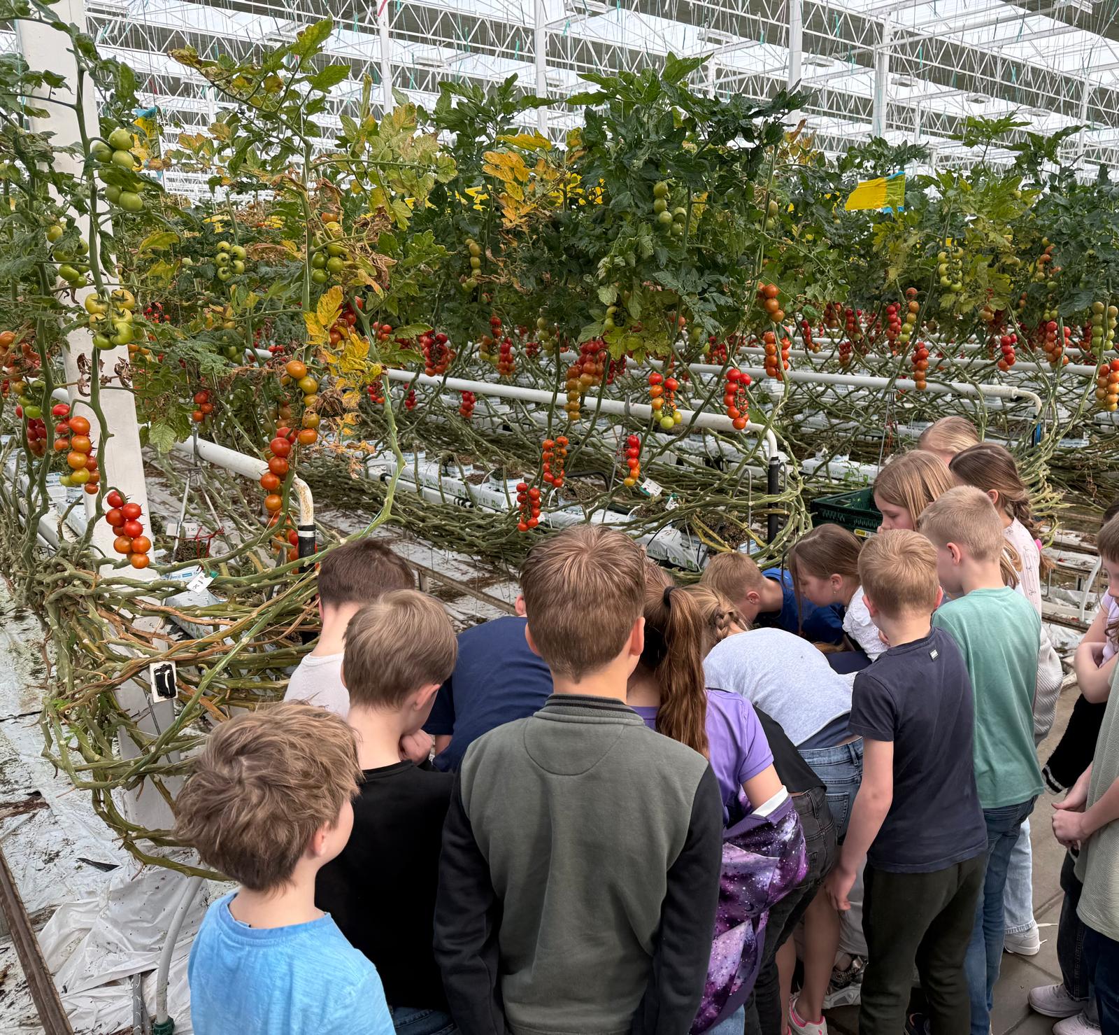 Nieuwsbrief 03-04-2025