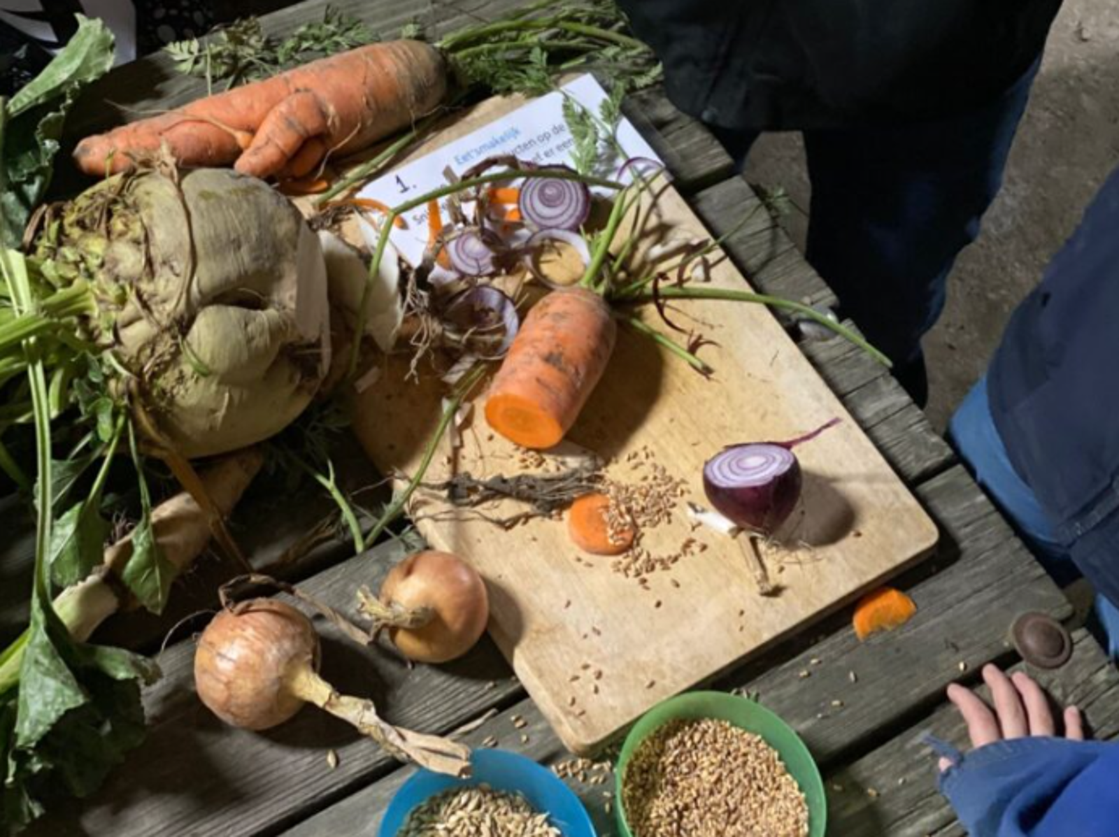 Excursie Akkerbouwbedrijf Tineke van Loon